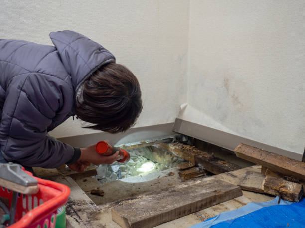 Best Residential Mold Inspection & Testing  in Fair Plain, MI