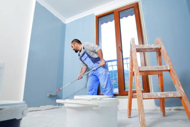 Best Black Mold Removal  in Fair Plain, MI