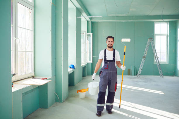 Mold Odor Removal Services in Fair Plain, MI