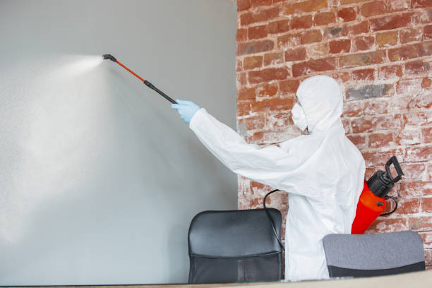 Best Post-Remediation Verification Testing  in Fair Plain, MI