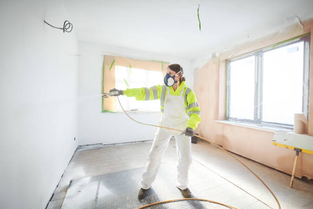 Best Environmental Consulting for Mold Prevention  in Fair Plain, MI