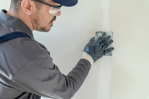 Best Mold Removal for HVAC Installations  in Fair Plain, MI