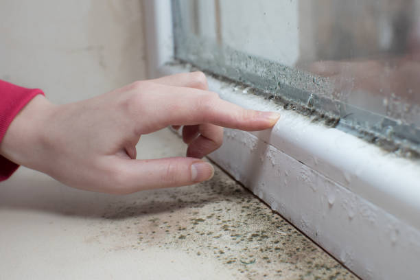Best Indoor Air Quality Assessment  in Fair Plain, MI