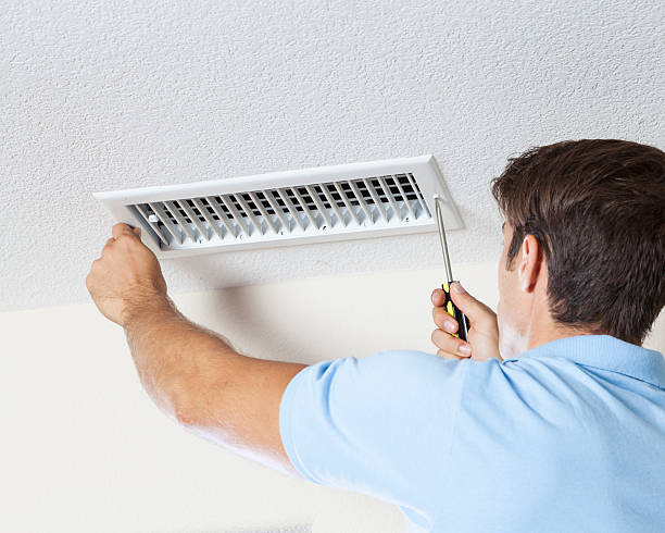 Best Mold-Related Health Consultation  in Fair Plain, MI