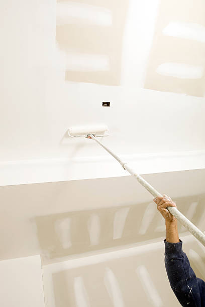Best Mold Odor Removal Services  in Fair Plain, MI