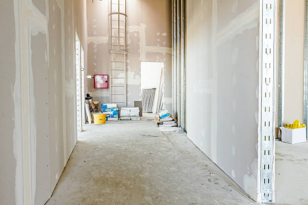 Best Water Damage & Mold Remediation  in Fair Plain, MI