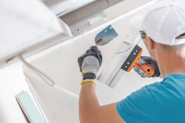 Best Environmental Consulting for Mold Prevention  in Fair Plain, MI